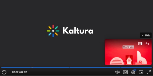 Kaltura player side banner image